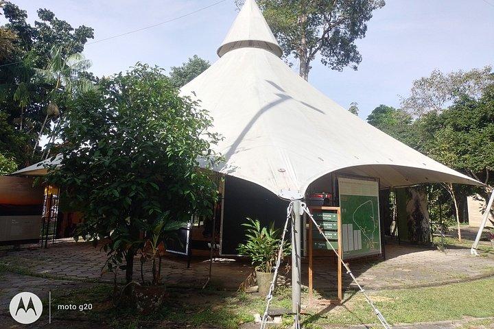 マナウスのアマゾン博物館（MUSA）ツアー：アマゾン体験