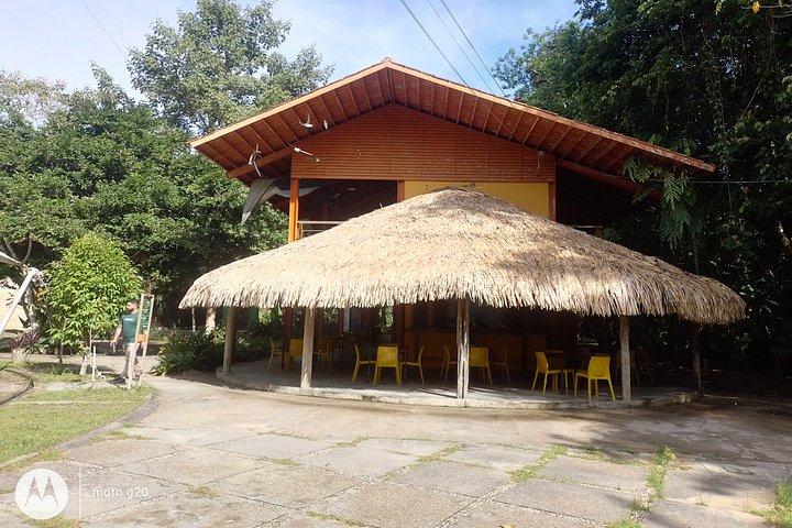 マナウスのアマゾン博物館（MUSA）ツアー：アマゾン体験