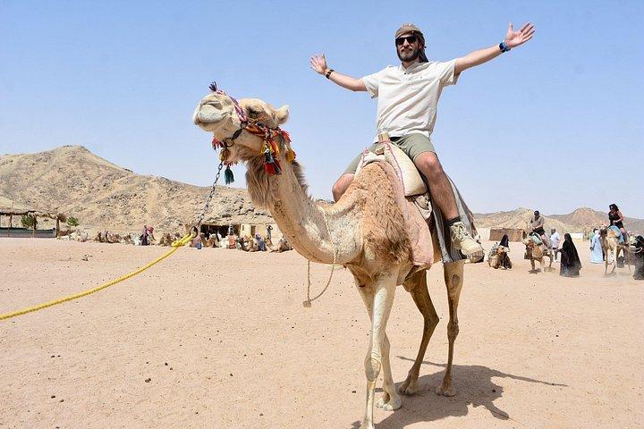 フルガダ砂漠サファリサイクリングジープアドベンチャーとベドウィンディナー
