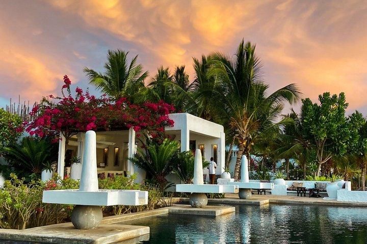 Pemba: 5 dage med ren lykke på Zanzibar's skjulte grønne paradis