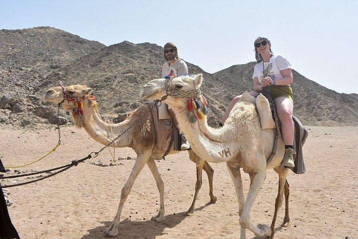12 Days all Egypt GEM pyramid cruise Hurghada
