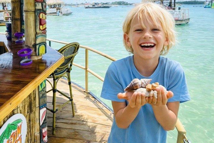Original Cruisin Tikis Shark Tand och Sea Shell Scavenger Hunt