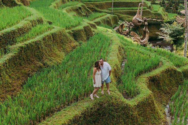 ウブドプライベートツアー：モンキーフォレスト、滝、寺院、棚田