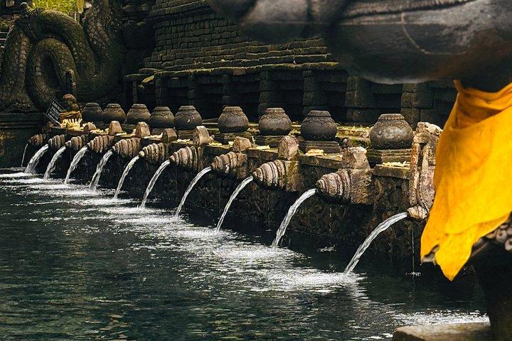 Ubud Highlight Private Tour - All Inclusive Eintrittsgeld