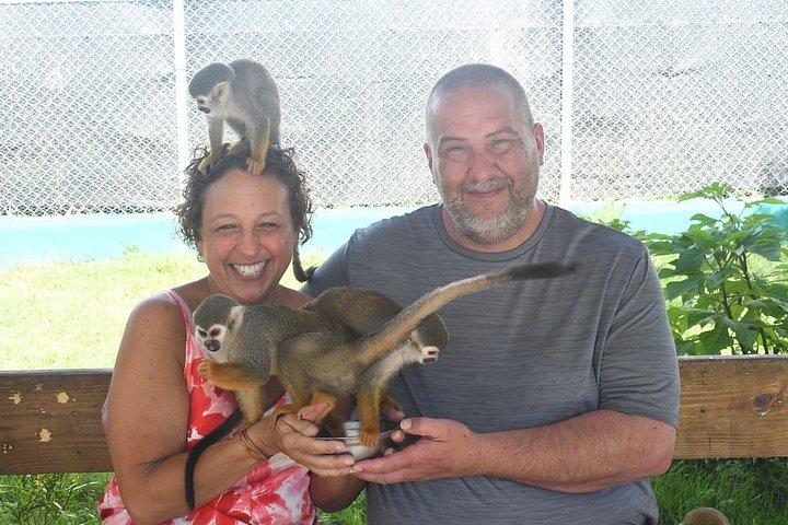 Damajagua Vattenfall Äventyr och Monkey Experience