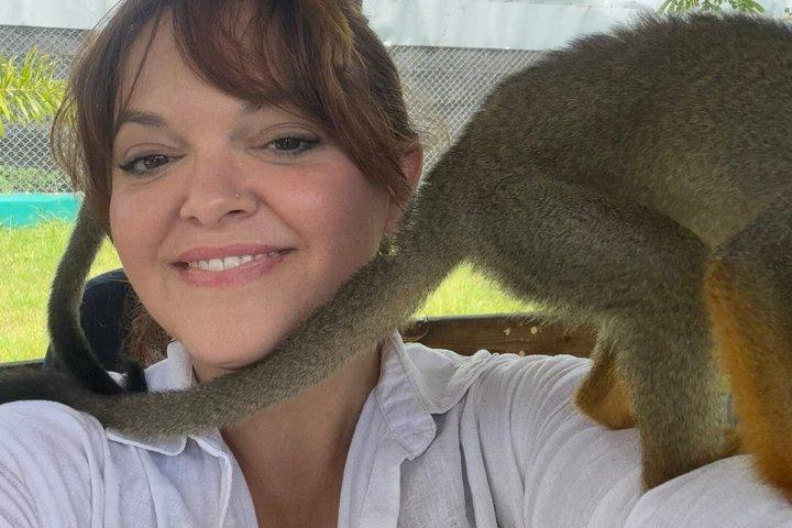 Damajagua Waterfalls Adventure and Monkey Experience