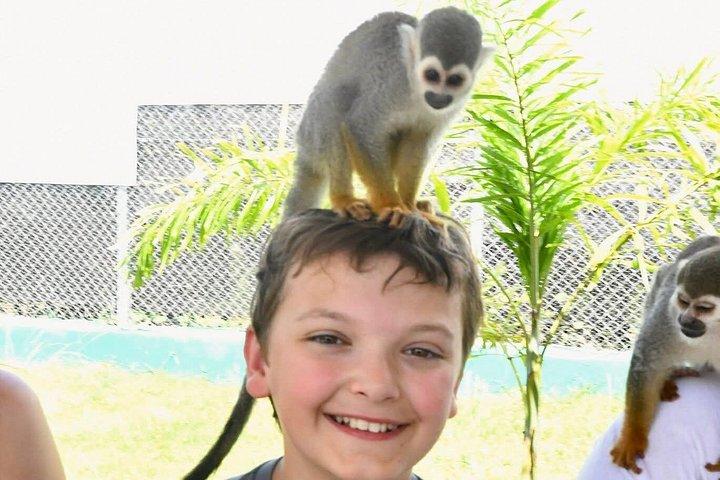 Damajagua Vattenfall Äventyr och Monkey Experience