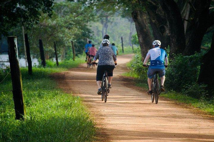 スリランカ14日間サイクリングツアー文化と風光明媚な丘陵地帯