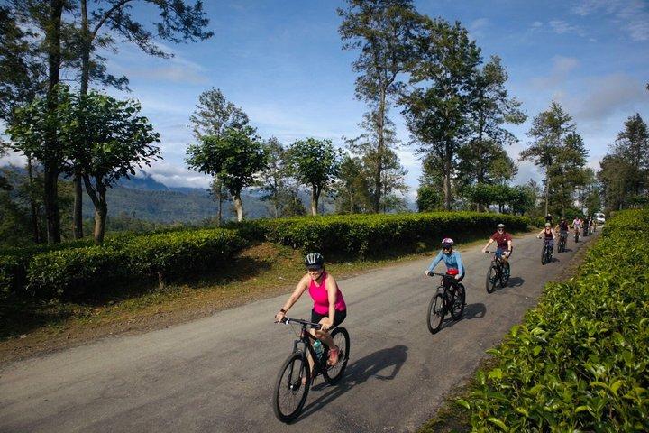 スリランカ14日間サイクリングツアー文化と風光明媚な丘陵地帯