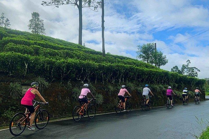 スリランカ14日間サイクリングツアー文化と風光明媚な丘陵地帯