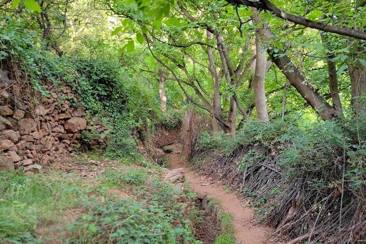 Marrakesch : Atlasgebirge, Imliltäler, Wasserfälle und Mittagessen