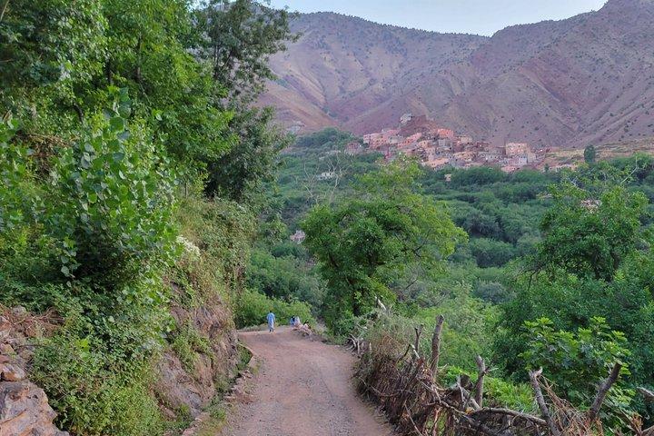 Marrakech: montagne dell'Atlante, valli di Imlil, cascate e pranzo