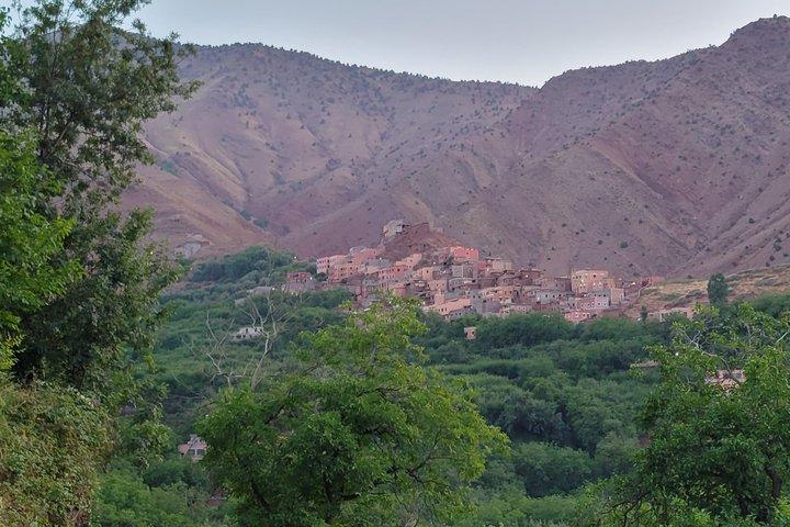 Marrakech: montagne dell'Atlante, valli di Imlil, cascate e pranzo