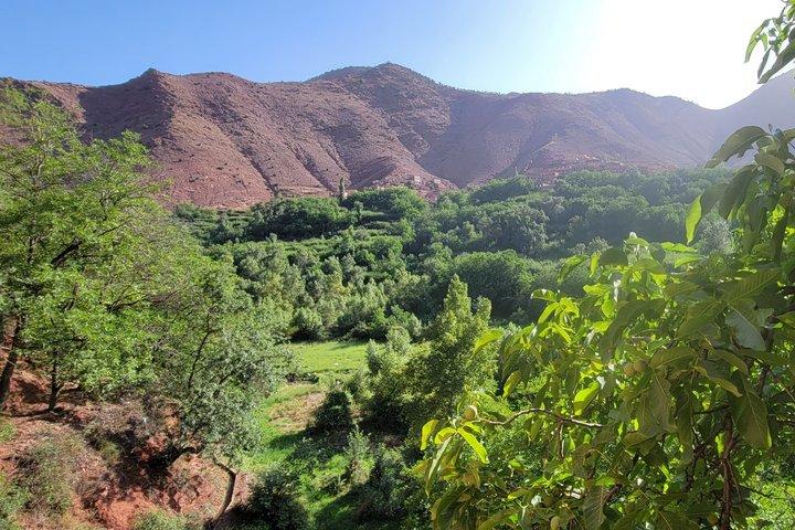 Marrakech: montagne dell'Atlante, valli di Imlil, cascate e pranzo