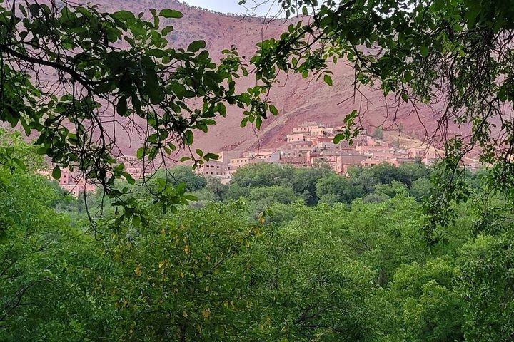Marrakech: montagne dell'Atlante, valli di Imlil, cascate e pranzo