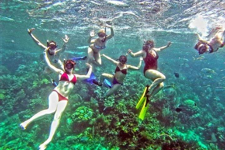 Festa in catamarano a Sosúa: snorkeling, barbecue e open bar.