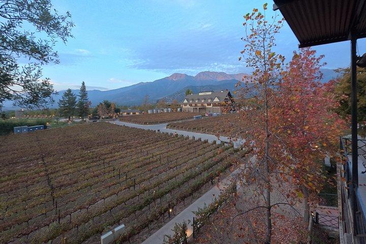 Alyan Family Wines Sunset Experience with Dinner and Transfer