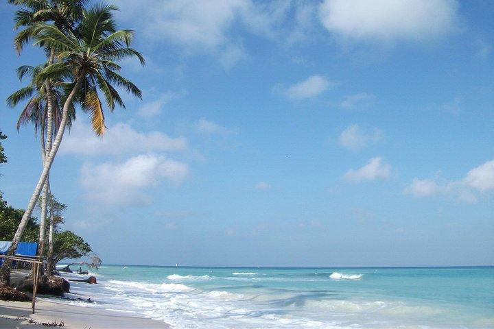 Excursion d'une journée aux îles du Rosaire et à Playa Blanca Baru avec déjeuner