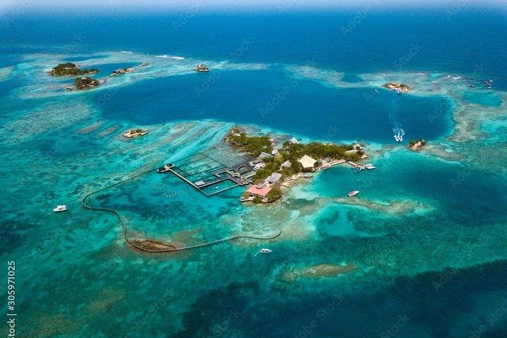 ロサリオ諸島とプラヤ・ブランカ・バルへのランチ付き日帰り旅行