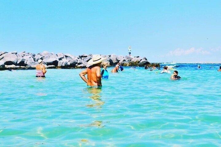 Crociera con snorkeling e delfini SeaQuest a Destin