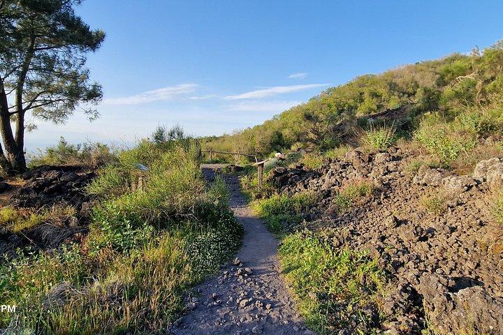 ヴェスヴィオ国立公園の溶岩川ハイキング - NOT THE CRATER TOUR