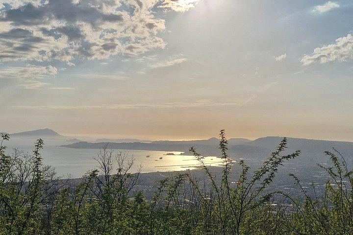 ヴェスヴィオ国立公園の溶岩川ハイキング - NOT THE CRATER TOUR