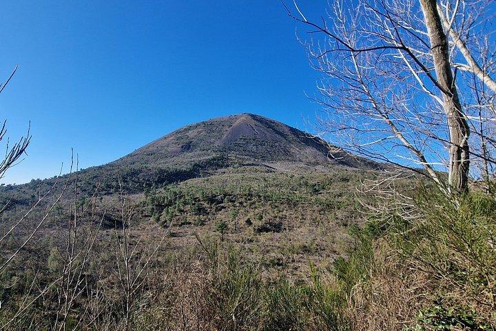ヴェスヴィオ国立公園の溶岩川ハイキング - NOT THE CRATER TOUR