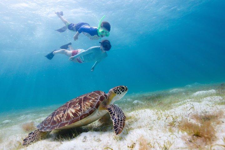 Daymaniyat Islands Snorkeling da Mascate – Riserva Marina