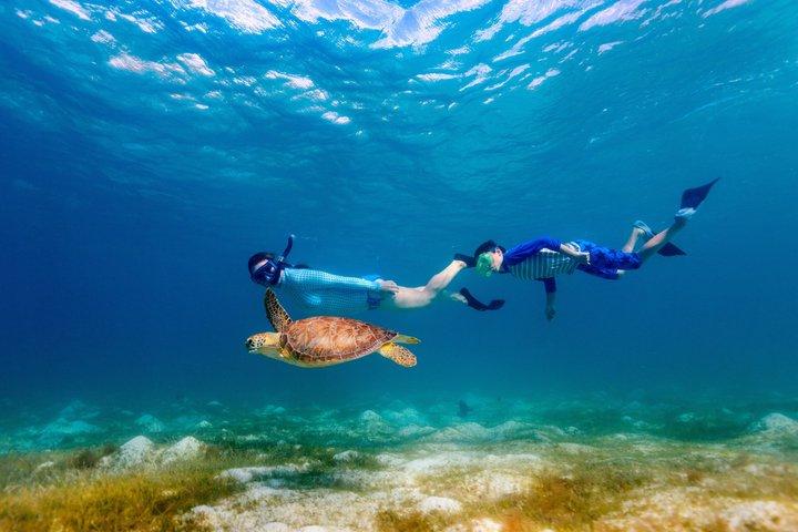 Daymaniyat Islands Snorkeling da Mascate – Riserva Marina