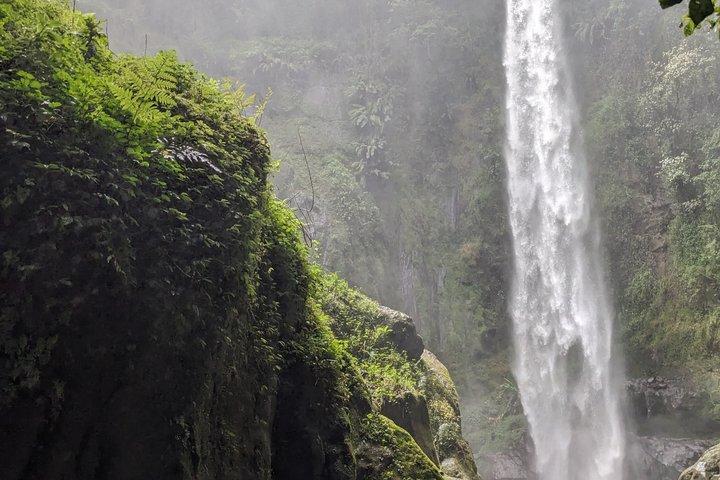 Best & Top of Arusha; Visite du café et randonnée en cascade.