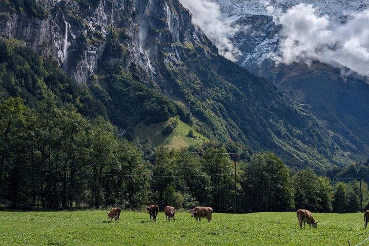 ラウターブルンネン渓谷の見どころ : ミュレン、滝、スイスピクニック