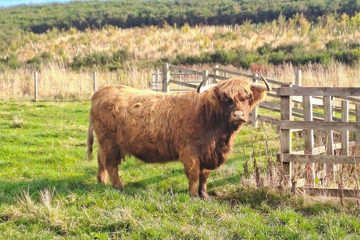 Tour met kleine groep naar Loch Ness, Glencoe en de Hooglanden