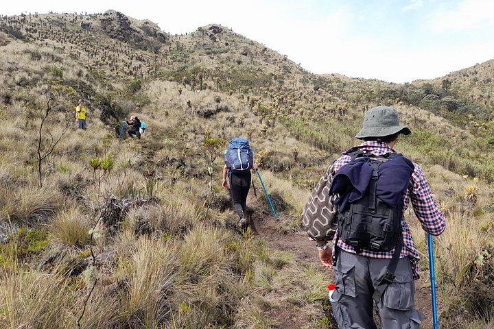 Nevado del Tolima Expedition