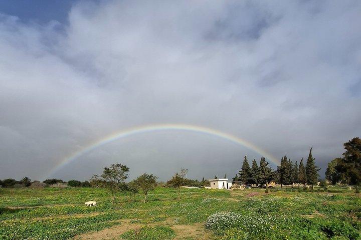 ビゼルト、アンジェラ岬、ユネスコ世界遺産のイシュケル公園への遠足