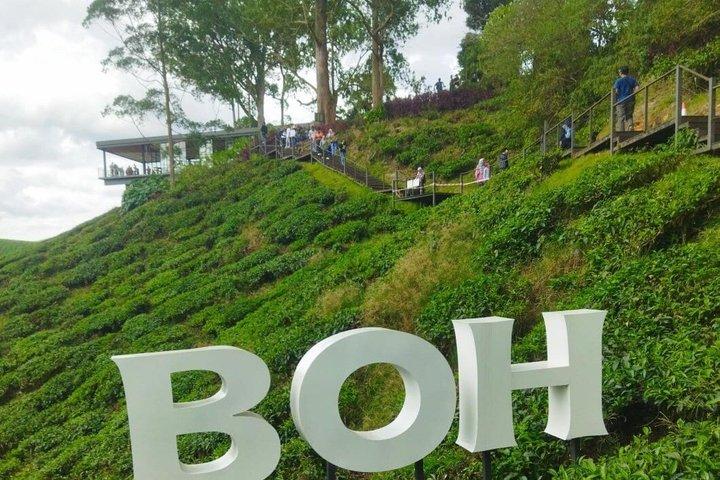 Cameron Highland Day Tour da Kuala Lumpur