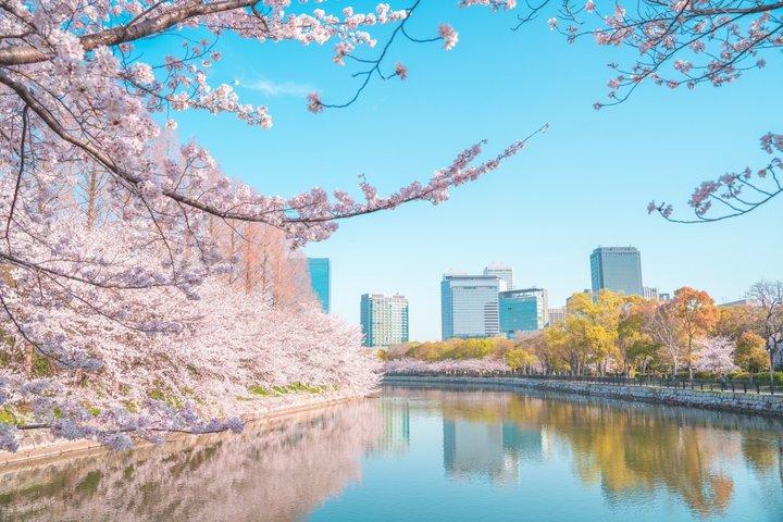 Osaka Castle historische privétour