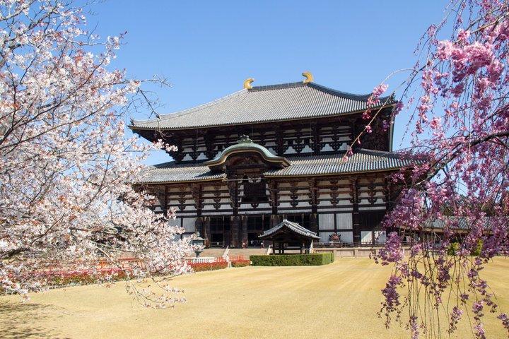 Privattour zum Weltkulturerbe Nara