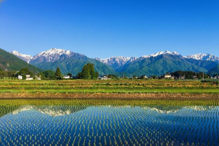 Vanuit Tokio : Privé dagtrip naar Snow Monkey & Zenkoji