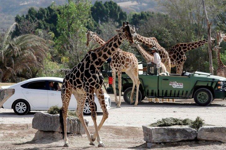 Africam Safari privévoertuig