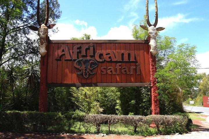Africam Safari privat køretøj