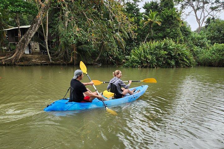 Guided Kayak Wildlife South Caribbean Cocles, Punta Uva, Puerto Viejo.