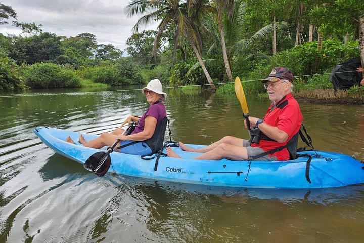 Guided Kayak Wildlife South Caribbean Cocles, Punta Uva, Puerto Viejo.