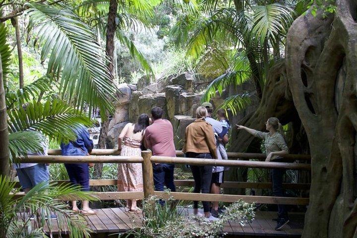 Bus Sali e Scendi - Tamborine Mountain da Brisbane