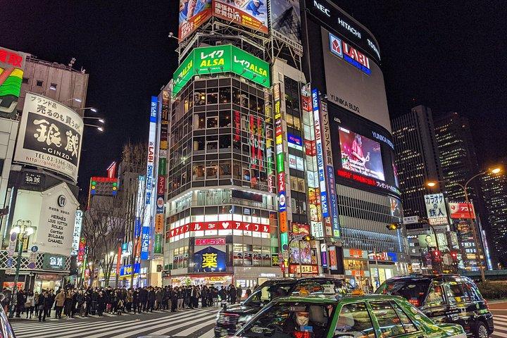 Tokyo Private Walking Tour with Licensed Guide – VIP Experience