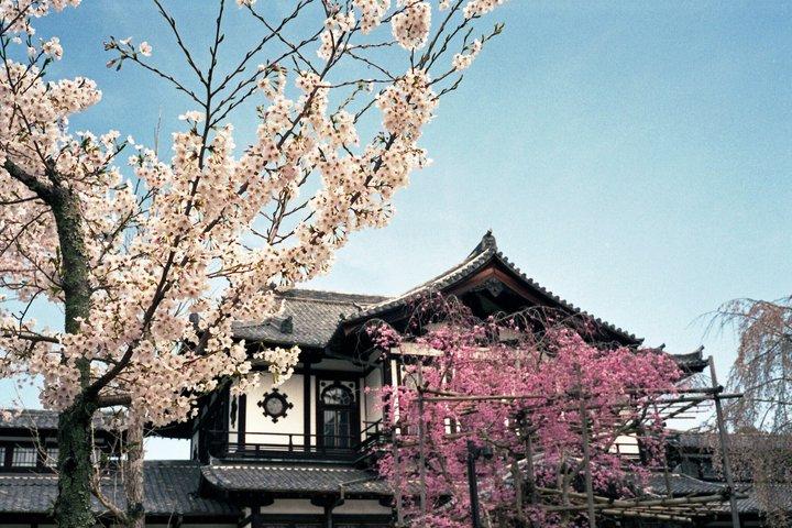奈良東大寺春日大社京都発プライベート 1 日ツアー