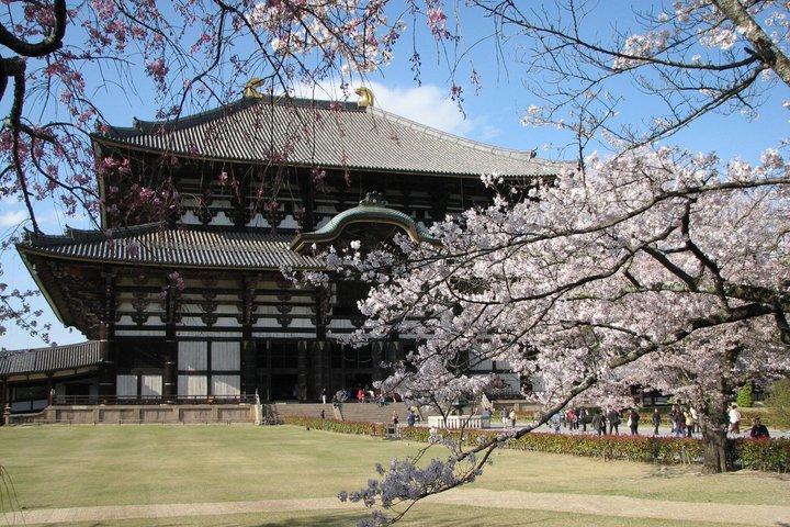 奈良東大寺春日大社京都発プライベート 1 日ツアー
