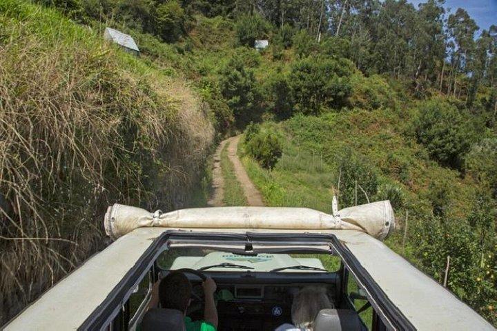Madeira Combo Tour: Levada Walk & Jeep Safari