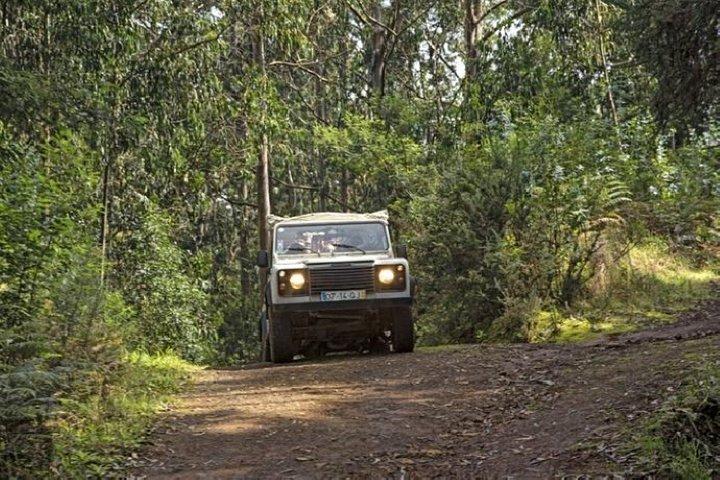 Madeira Combo Tour: Levada Walk & Jeep Safari