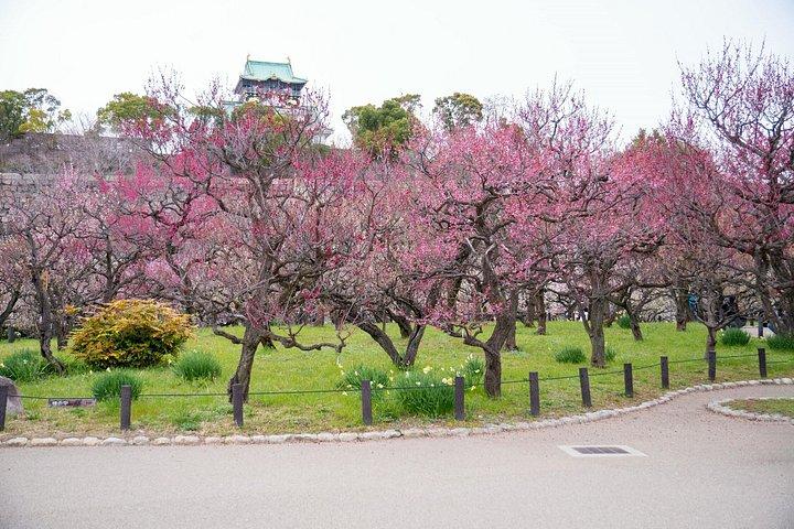 大阪城＆サムライツアー：入場料込みオプション