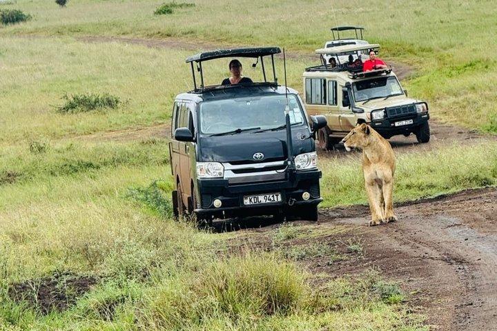 Amboseli Dagstur från Nairobi
